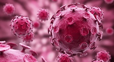 H3N2 VİRÜSÜ HIZLA YAYILIYOR... TÜRKİYE İÇİN RİSK VAR MI? 