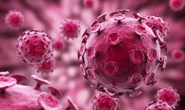H3N2 VİRÜSÜ HIZLA YAYILIYOR... TÜRKİYE İÇİN RİSK VAR MI?