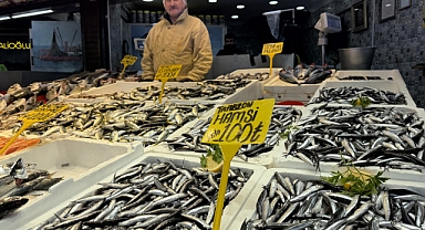 HAMSİNİN KİLOSU 100 TL 