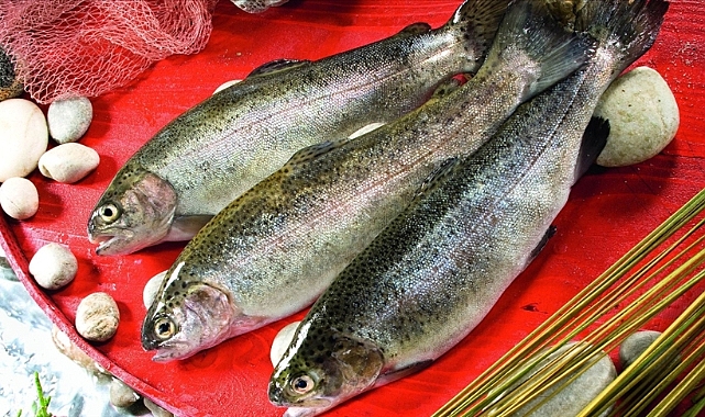 SOMON İHRACATI 164 MİLYON DOLARI AŞTI