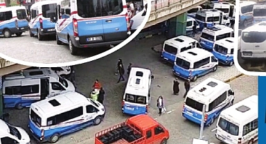 TARLADA KOKARCA BÖCEĞİ, TRAFİKTE DOLMUŞ İSTİLASI! 