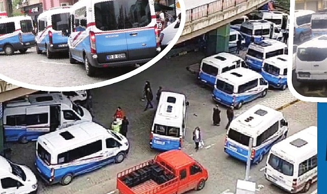 TARLADA KOKARCA BÖCEĞİ, TRAFİKTE DOLMUŞ İSTİLASI!