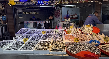 TEZGAHLAR HAMSİ VE İSTAVRİT İLE ŞENLENDİ 