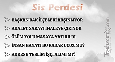 29.01.2026 SİS PERDESİ 