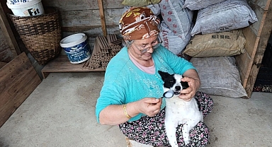 ELİ ÖPÜLESİ ANNE... YARALI KÖPEĞİ ANNE ŞEFKATİYLE HAYATA DÖNDÜRDÜ
