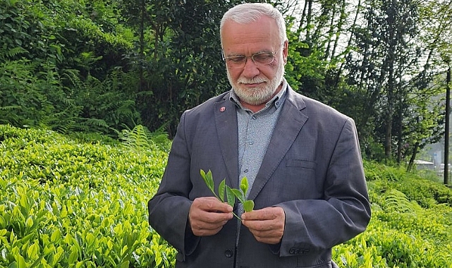 1 KİLO YAŞ ÇAYLA 3 EKMEK ALINABİLMELİ 