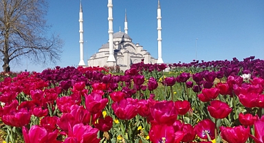 BÜYÜKŞEHİR'DEN DAHA YEŞİL TRABZON ATAĞI