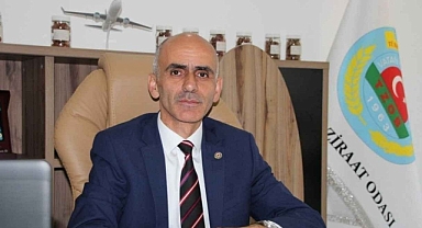 TMO'YA ÇAĞRI: FINDIK ACİLEN 300 TL OLMALI