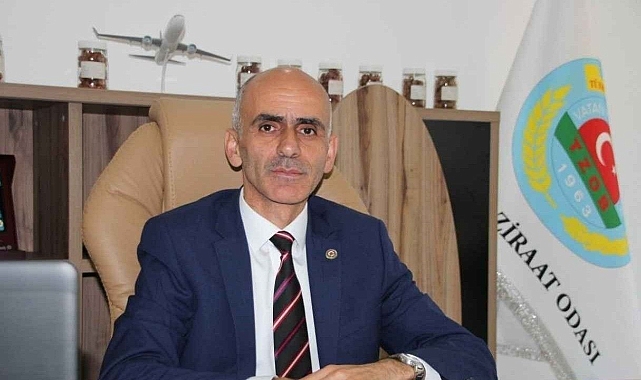 TMO'YA ÇAĞRI: FINDIK ACİLEN 300 TL OLMALI