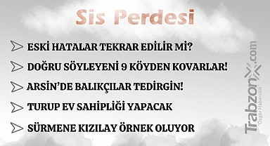 29.03.2026 SİS PERDESİ 