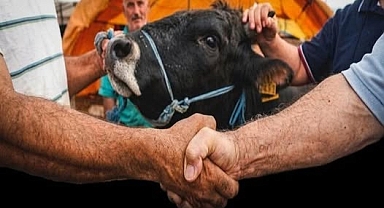 KURBANLIK FİYATLARI CEP YAKACAK!