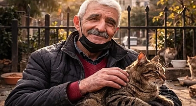 O KEDİLERİN BABASI: TAM 60 KEDİYE BAKIYOR