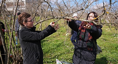 ORTAHİSAR'DAN FINDIK ÜRETİCİLERİNE EĞİTİM