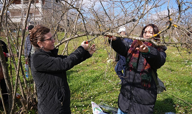 ORTAHİSAR'DAN FINDIK ÜRETİCİLERİNE EĞİTİM