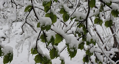 UZMANI UYARDI: NİSANDA ZİRAİ DON TEHLİKESİ KAPIDA! 