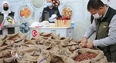 FINDIK ÜRETİCİSİ KAN AĞLIYOR
