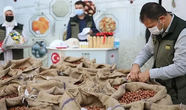 FINDIK ÜRETİCİSİ KAN AĞLIYOR