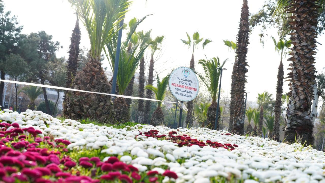 AKÇAABAT BELEDİYESİ KENDİ ÇİÇEKLERİNİ ÜRETİYOR