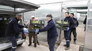 AKÇAABAT'TA 25 BİN SEBZE FİDESİ ÜRETİCİLERE TESLİM EDİLDİ