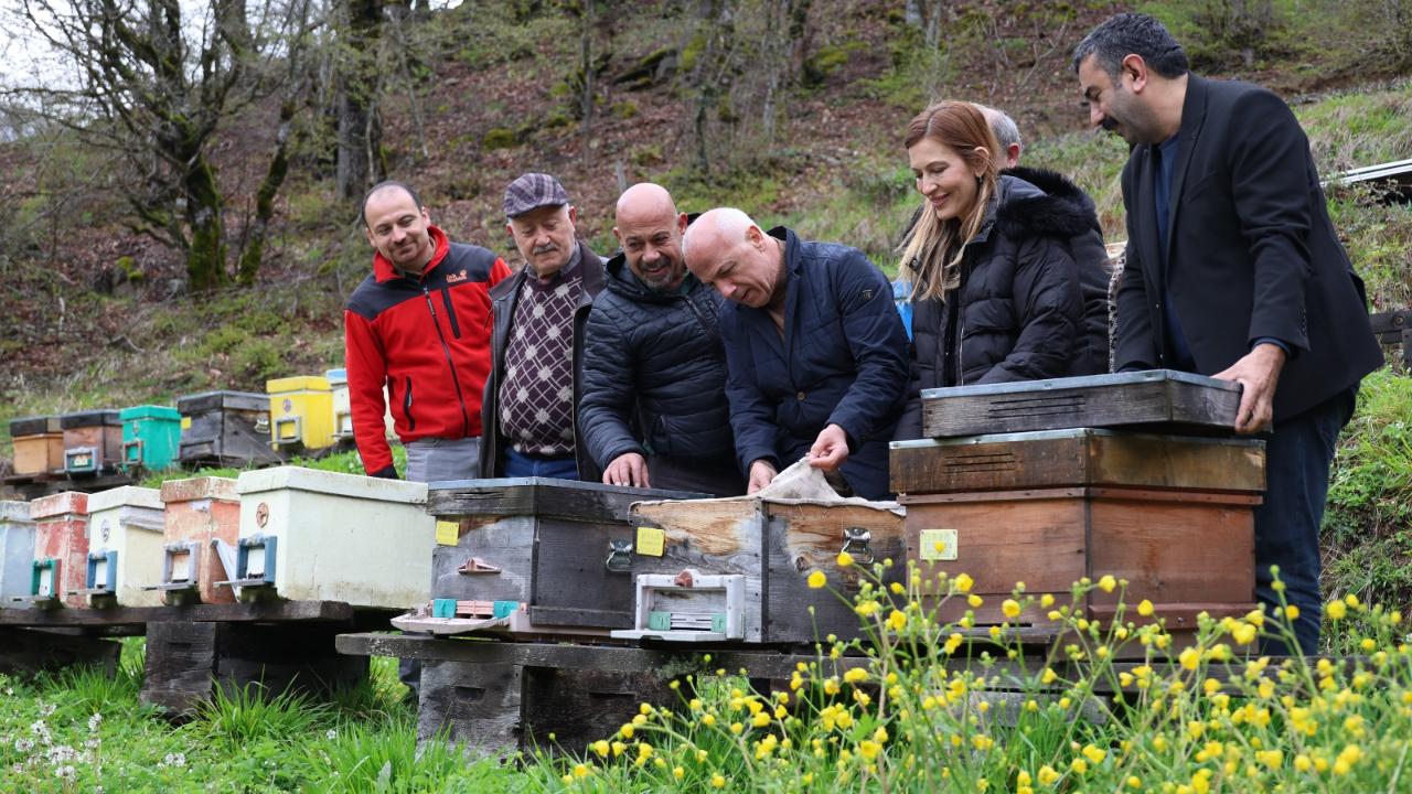 ARTVİN'DE ARICILIK MERCEK ALTINDA!