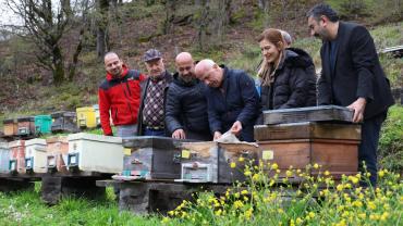 ARTVİN'DE ARICILIK MERCEK ALTINDA!