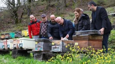 ARTVİN'DE ARICILIK MERCEK ALTINDA!