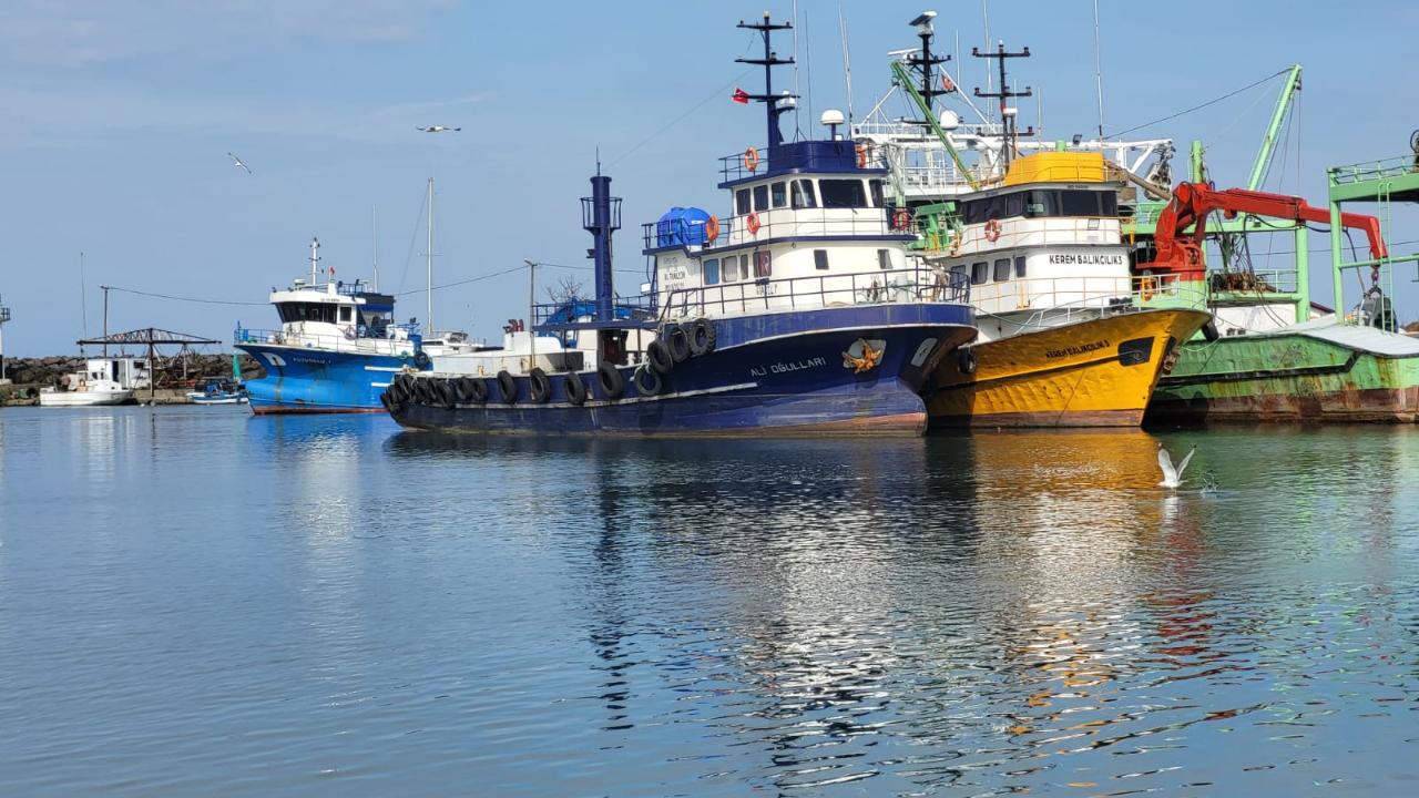 BALIKÇILIKTA AV YASAĞI BAŞLADI!