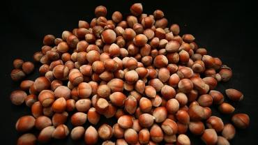 FINDIK FİYATLARI ÇAKILDI!