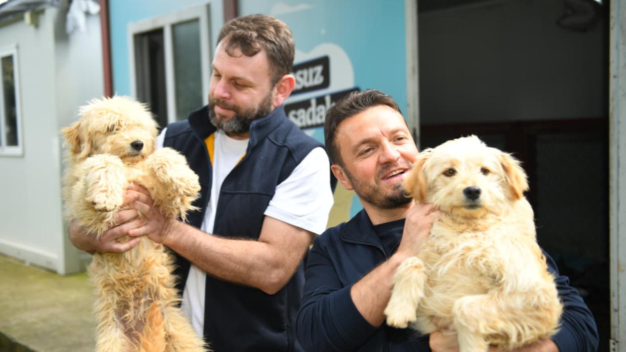 İSKENDER'DEN ÇAĞRI: PATİLİ DOSTLARIMIZI SAHİPLENELİM