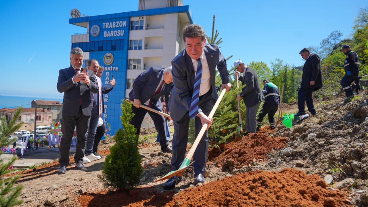 BAŞKAN KAYA, DOĞA VE HUKUK ORMANI İÇİN FİDAN DİKTİ