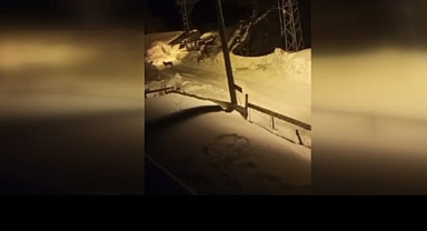 KÖYDE YİYECEK ARAYAN KURT SÜRÜSÜ BÖYLE GÖRÜNTÜLENDİ